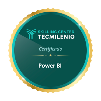 Insignia-power-bi