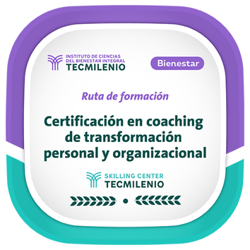 insignia-coaching