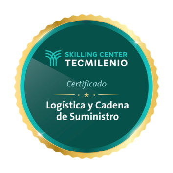 insignia-logistica