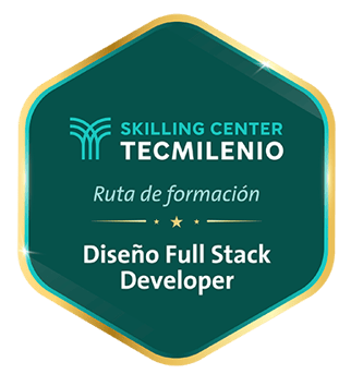 developer