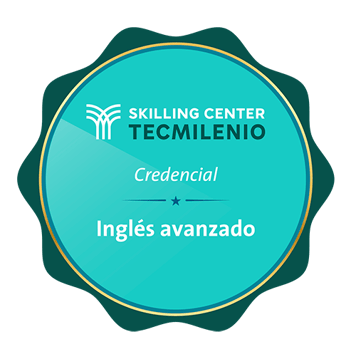 insignia-ingles