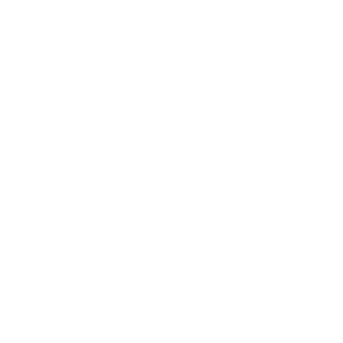 ícono-excel-cdc